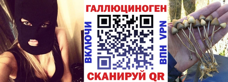 kraken ТОР  Октябрьск  Галлюциногенные грибы мухоморы 